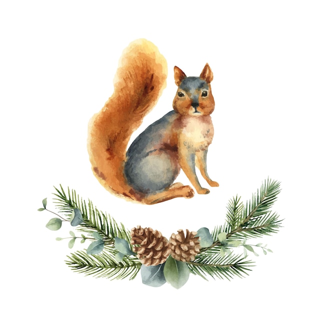 Watercolor vector christmas card with a squirrel and fir branches