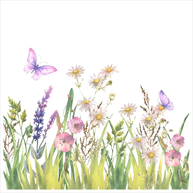 Акварельная векторная композиция границы с травами и полевыми цветами оставляет бабочек