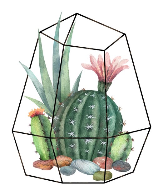 Watercolor vector composition of cacti and succulents in terrariums geometric florariume isolated on white background