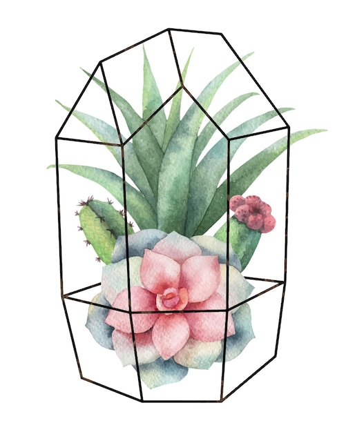 Watercolor vector composition of cacti and succulents in terrariums geometric florariume