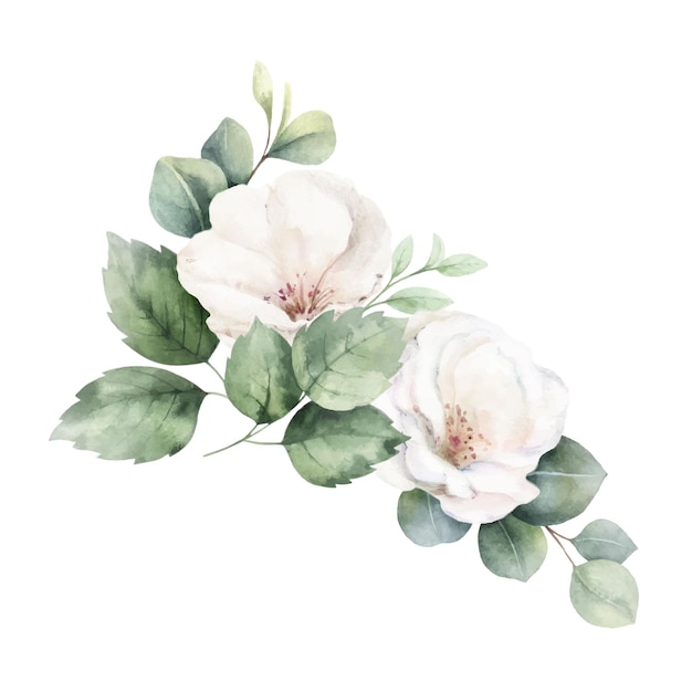 Vettore bouquet floreale vettoriale ad acquerello rose bianche e verde rami di eucalipto