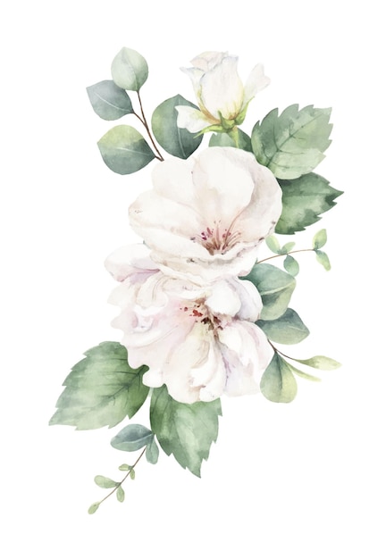 Vector watercolor vector floral bouquet white roses and greenery branches of eucalyptus