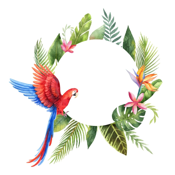 Vector watercolor vector frame with red parrot tropical leaves and flowers isolated on white background