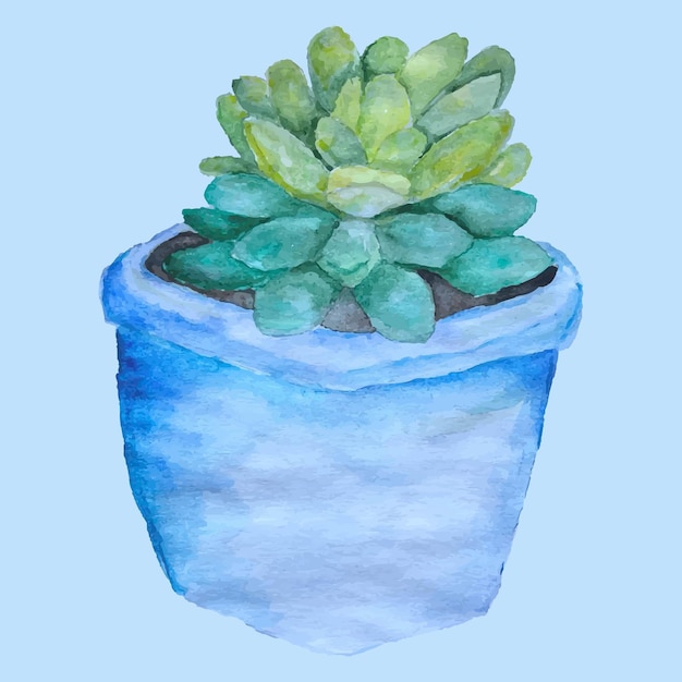 Watercolor vector hand drawn illustration isolated cactus in a blue pot