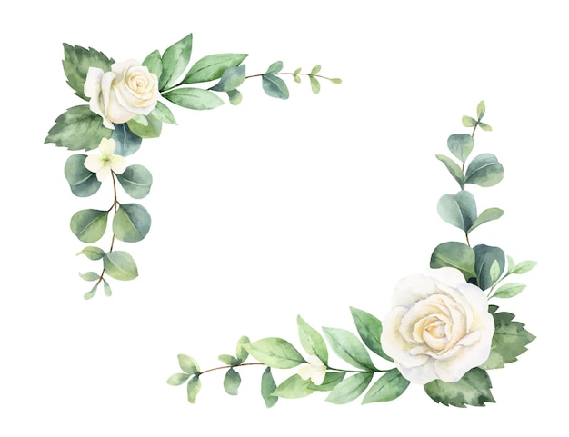 Vector watercolor vector hand painted wreath with green eucalyptus leaves and white roses