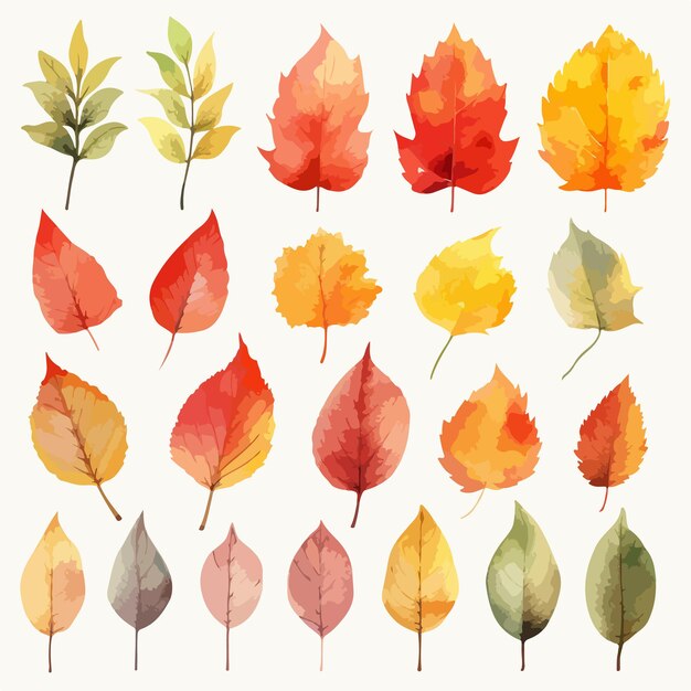 Vector watercolor vector illustration of an autumn set of leaves branches flowers and pumpkins isolated on white background