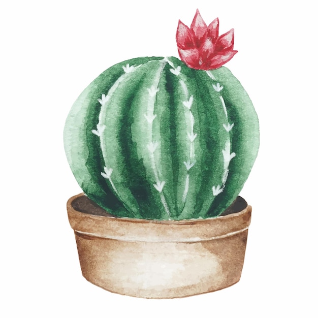 Watercolor vector illustration of cactus in pot floral clipart