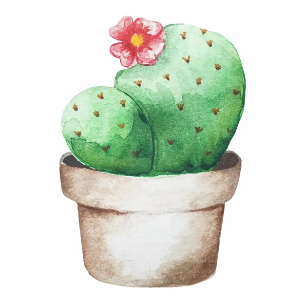 Watercolor vector illustration of cactus in pot floral clipart