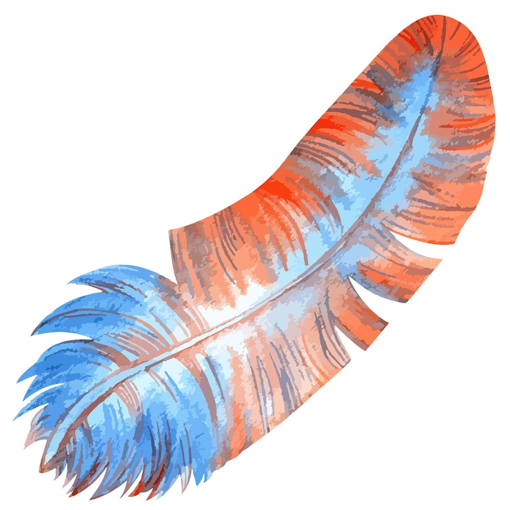 Vector watercolor vector illustration of colorful bird feather