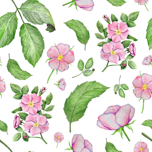 Watercolor vector illustration. Seamless pattern with rose hip flowers and leaves