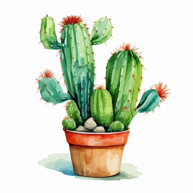 Vector watercolor vector illustration of a set of cacti and succulent plants on a white background