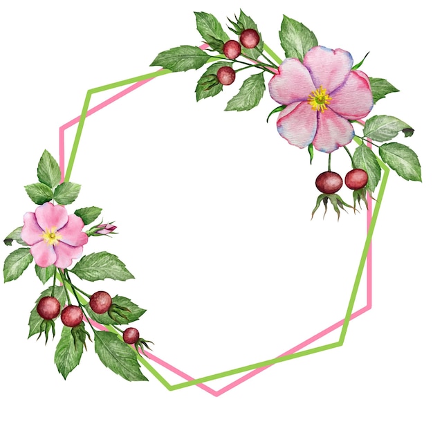 Watercolor vector illustration. Wedding hexagonal frame with rose hip flowers and leaves