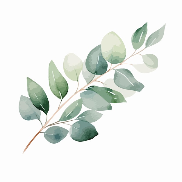 Vettore illustrazione vettoriale ad acquerello di una ghirlanda con foglie di eucalipto verdi fiori e rami viola