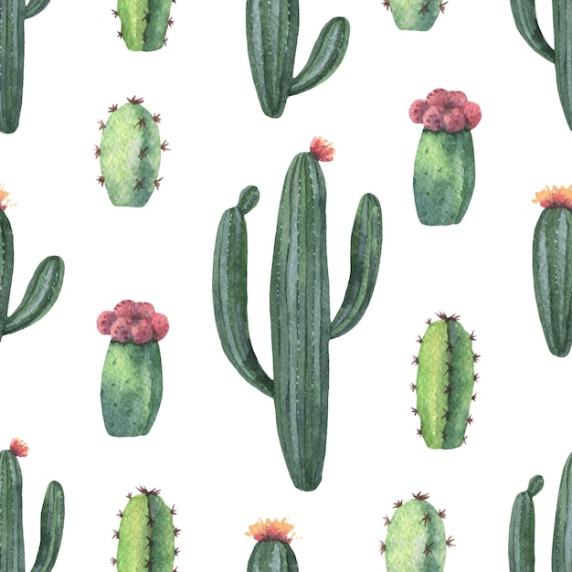 Vector watercolor vector seamless pattern of cacti and succulent plants isolated on white background