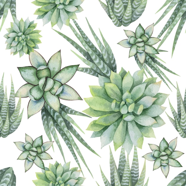 Watercolor vector seamless pattern of cacti and succulent plants isolated on white background