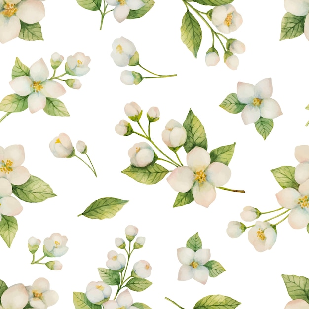 Vector watercolor vector seamless pattern of flowers and branches jasmine isolated on a white background