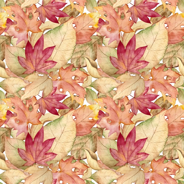 Watercolor vector seamless pattern with autumn leaves