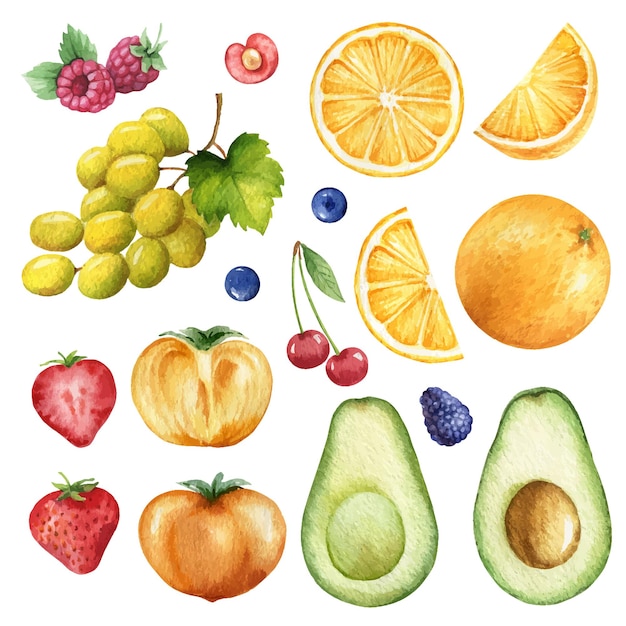 Vector watercolor vector set of hand painted fruits fresh food design elements