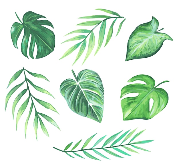 Watercolor vector set of tropical leaves