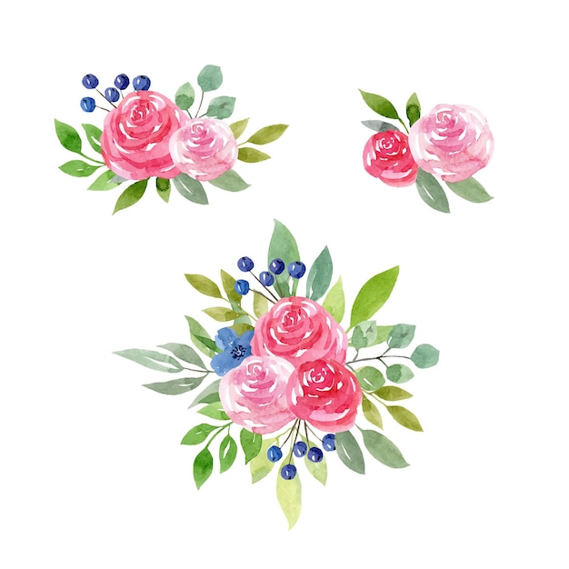 Insieme di vettore dell'acquerello con rose rosa fiori blu e mazzi di fiori illustrazione disegnata a mano