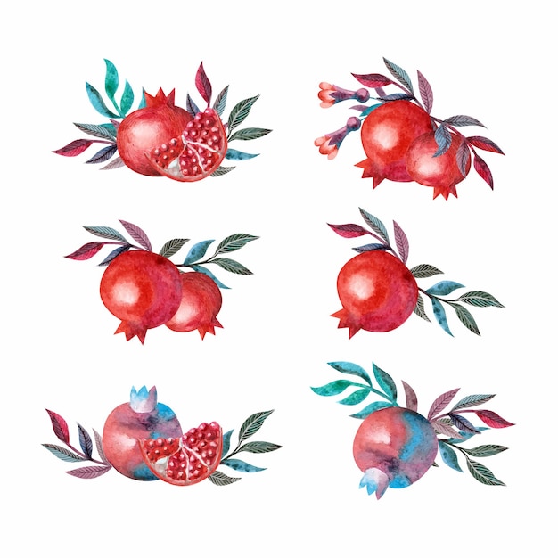 Vector watercolor vector set with pomegranates and leaves isolated on white background