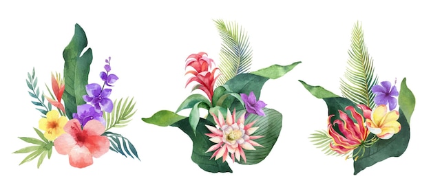 Watercolor vector set with tropical leaves and bright exotic flowers