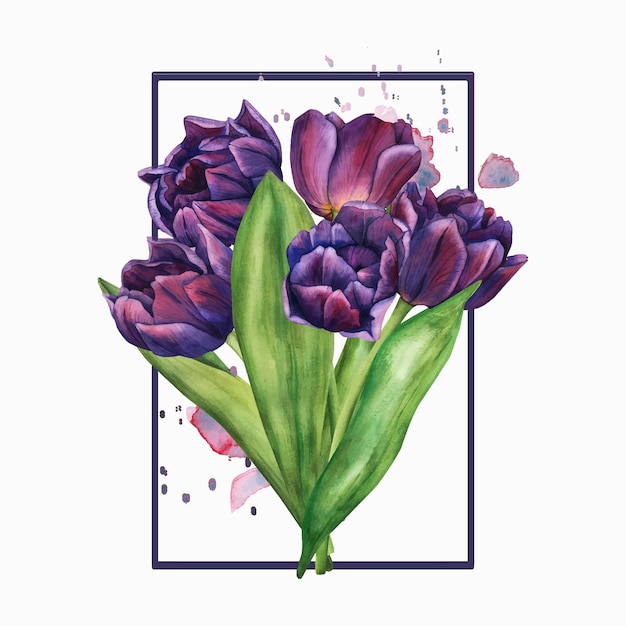 Vettore acquerello vettoriale fiori di tulipano bouquet modello di fiori primaverili per il disegno floreale per il giorno di san valentino 8 marzo giorno delle madri pasqua illustrazione floreale disegnata a mano di piante in fiore