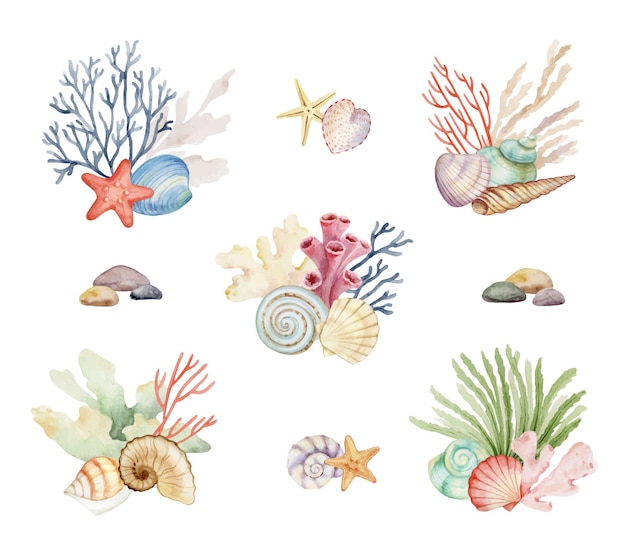 Vector watercolor vector underwater set of colorful seashells and seaweed