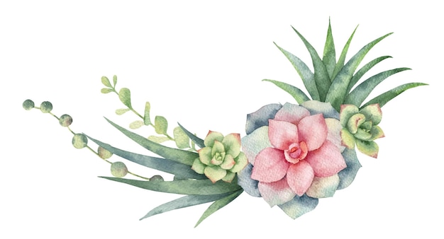 Watercolor vector wreath of cacti and succulent plants isolated on white background