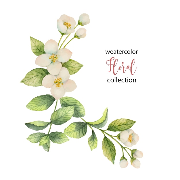 Watercolor vector wreath of flowers and branches jasmine isolated on a white background