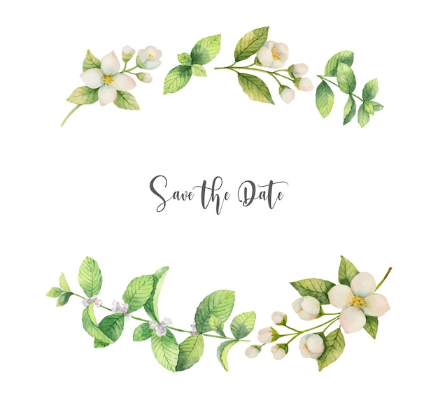 Watercolor vector wreath of flowers jasmine and mint isolated on a white background