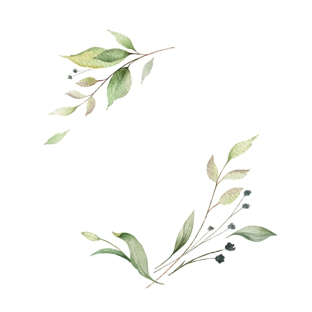 Watercolor vector wreath of green branches and leaves