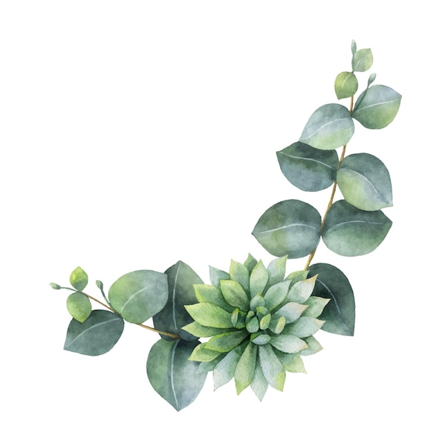 Watercolor vector wreath with eucalyptus leaves and succulents