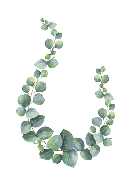Вектор Акварельный векторный венок с зелеными листьями и ветвями эвкалипта