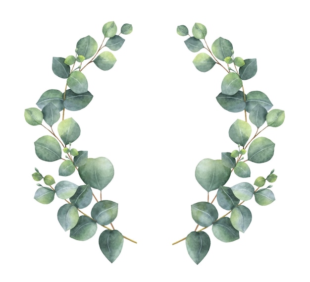 Watercolor vector wreath with silver dollar eucalyptus leaves and branches