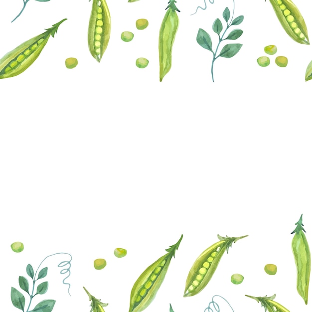 Vector watercolor vegetable frame green peas farmer market