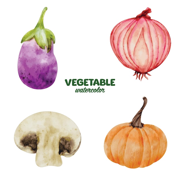 Watercolor vegetable and ingredient clip art food element eggplant shallot pumpkin mushroom