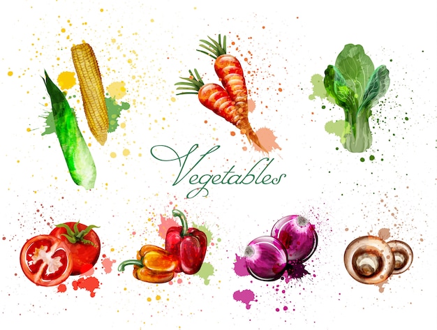 Vector watercolor vegetables collection
