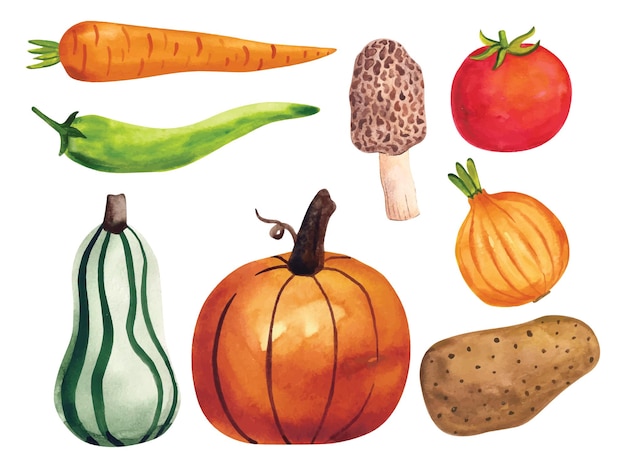 Watercolor vegetables set