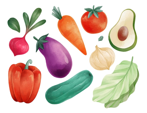 Vector watercolor vegetarian food collection