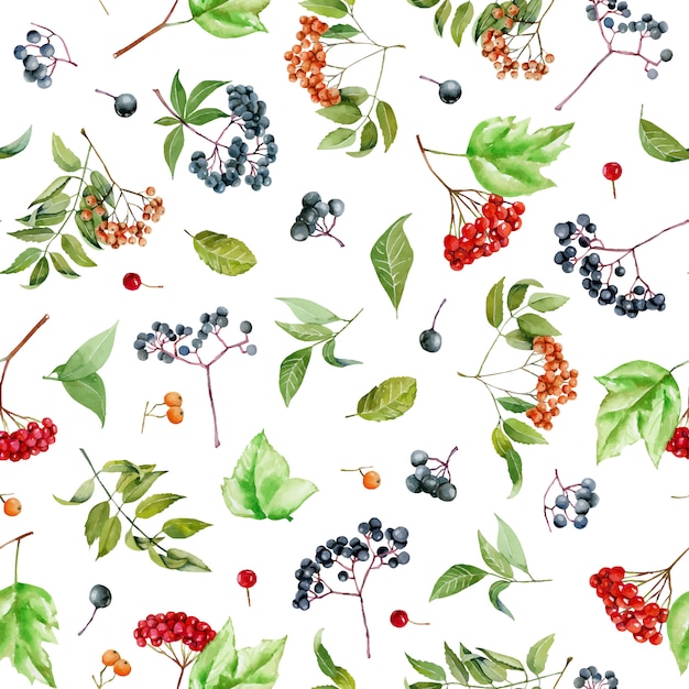 Watercolor viburnum, rowan and elderberry branches seamless pattern