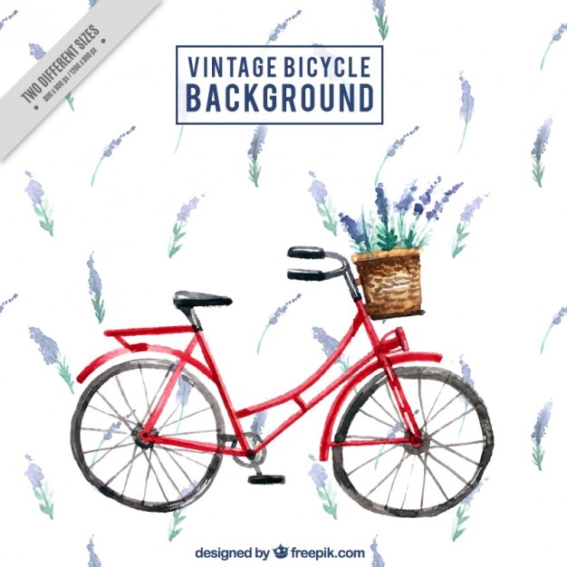 Watercolor vintage bicycle with lavander background