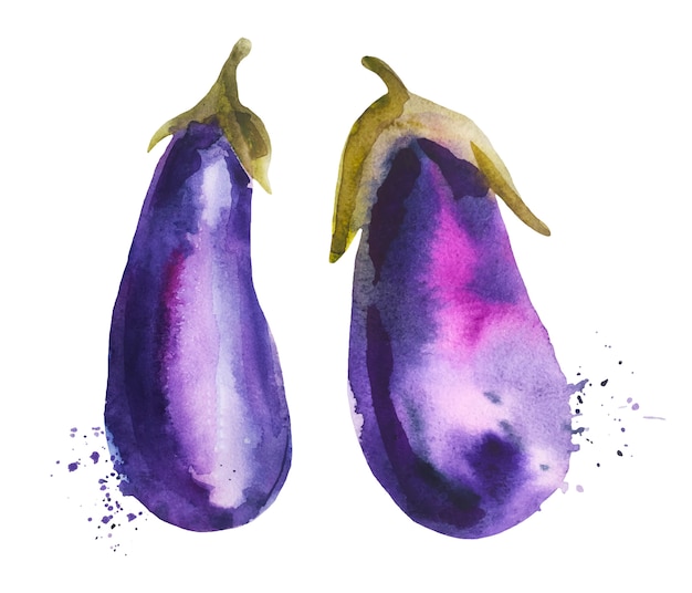 Watercolor  violet eggplant set