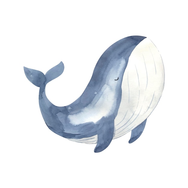 Watercolor whale illustration for kids