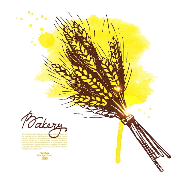 水彩小麦スケッチの背景。ベーカリーヴィンテージ手描きイラスト