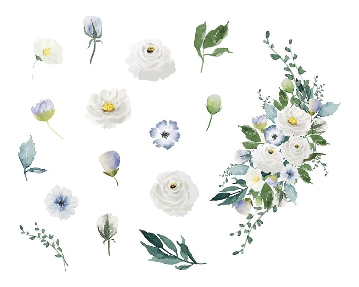 Vector 水彩の白い花と緑の葉の分離セットヴィンテージ花の花束