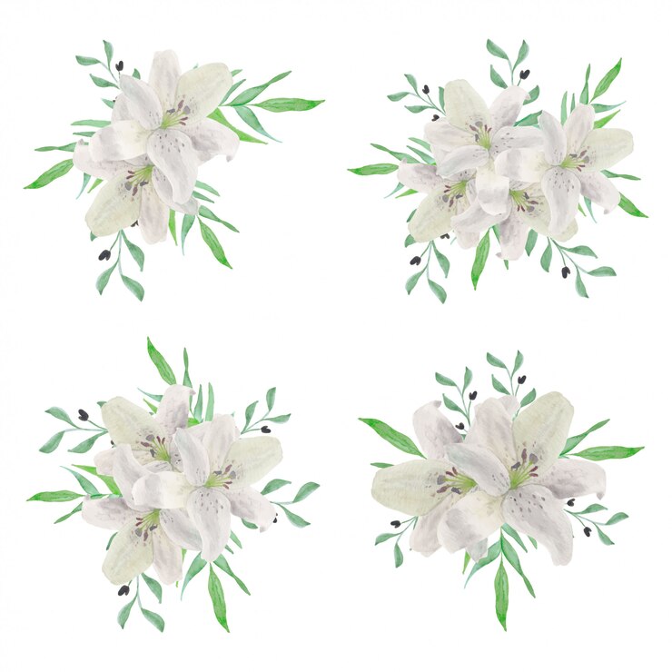 Vector 水彩の白いユリの花の花束コレクション