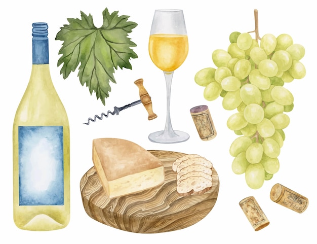 Set vino bianco acquerello clipart di prova del vino bottiglia di vino wi