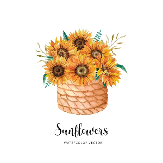 Vector watercolor wicker basket with sunflowers