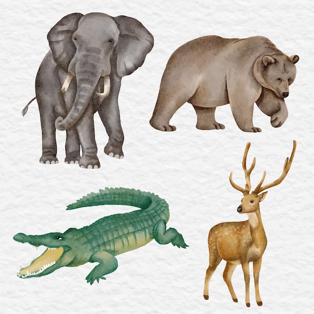 Vector watercolor wild animal collection set